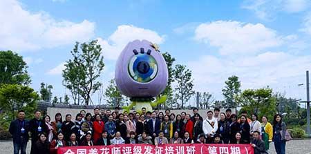绿植花卉租摆公司