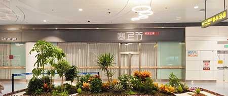 室内植物租摆