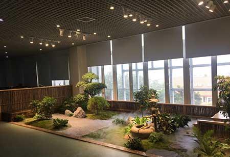 室内植物租摆