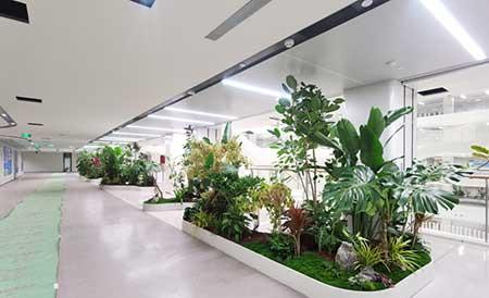室内植物租摆