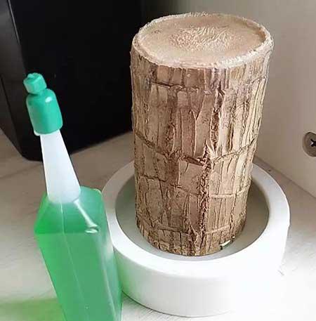 碱性水适合养什么花