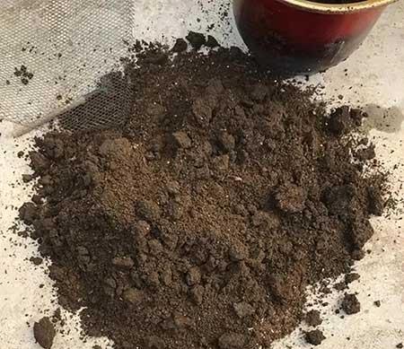 家里养的植物用什么肥料