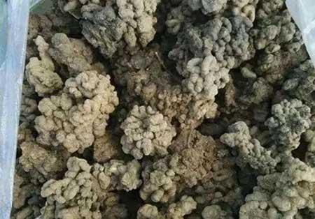 家里养的植物用什么肥料