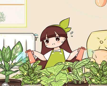花卉竹芋怎么养