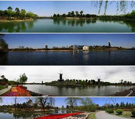 花卉市场出租