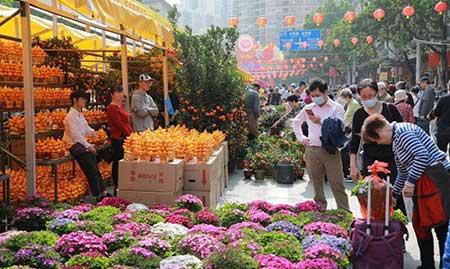 花卉出租市场具体情况