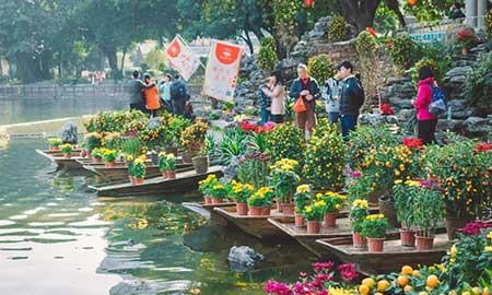 花卉出租市场具体情况