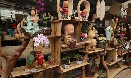 花卉出租市场具体情况