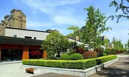 公司绿植养护方案