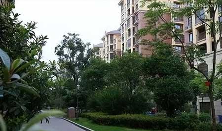 公司绿植养护方案