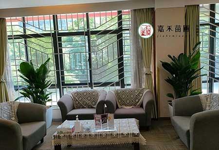 大厅绿植花卉租赁