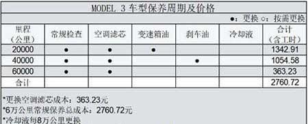 车里养什么花比较好