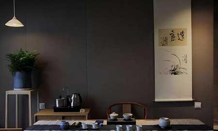 茶室养什么植物
