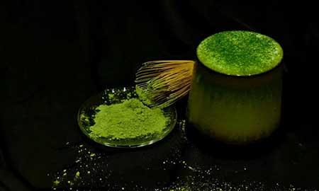 茶室养什么植物