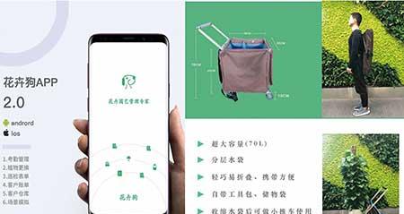 植物租摆公司