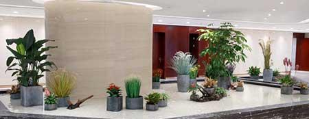 展会绿植租赁