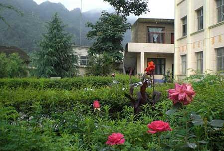 学校绿植养护方案