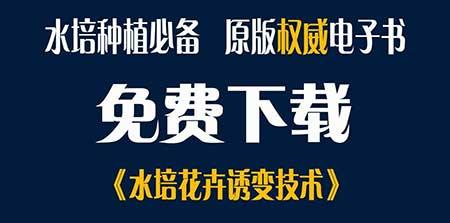 水里的花怎么养