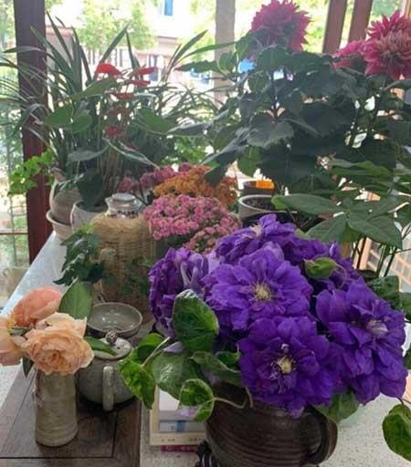 如何养好鲜花放在花瓶