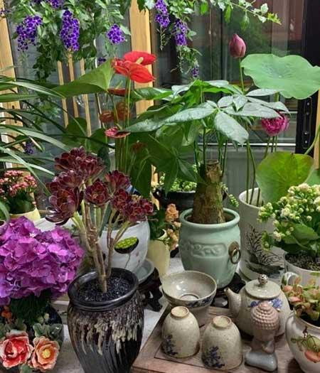 如何养好鲜花放在花瓶