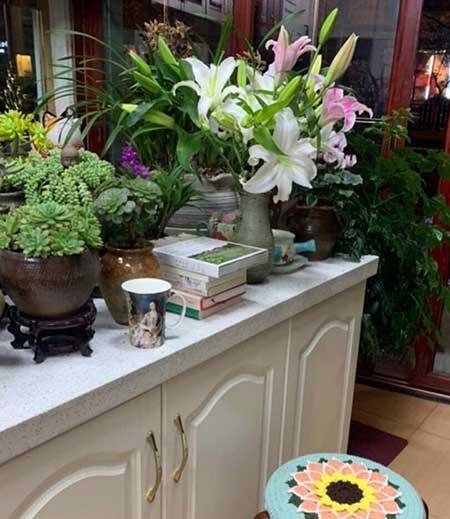 如何养好鲜花放在花瓶