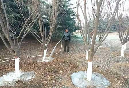 苗木养护浇水