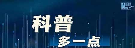绿植总是养不活