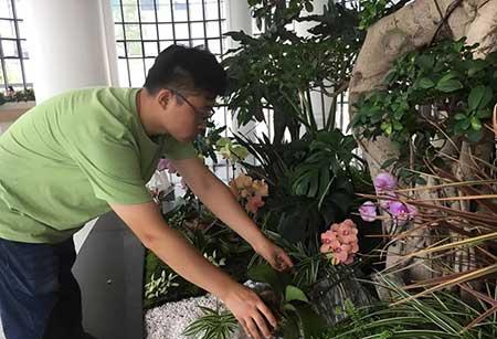 绿植养护师