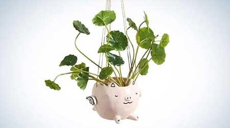 绿植养护工具