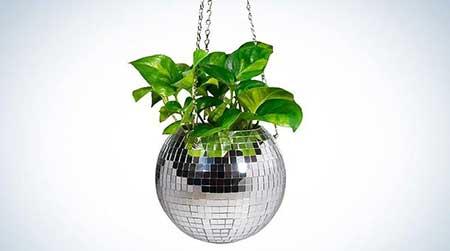 绿植养护工具