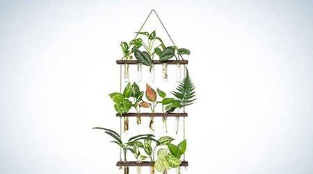 绿植养护工具