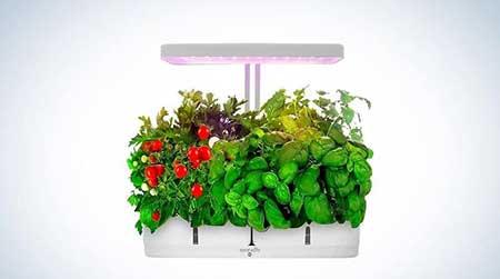 绿植养护工具