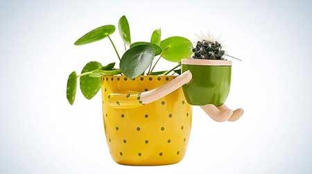 绿植养护工具