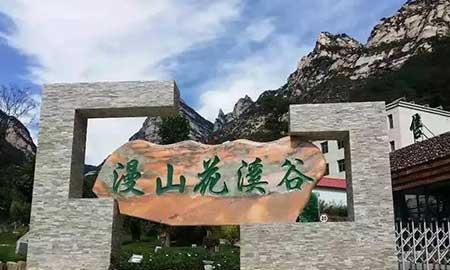 金宝塔花卉怎么养