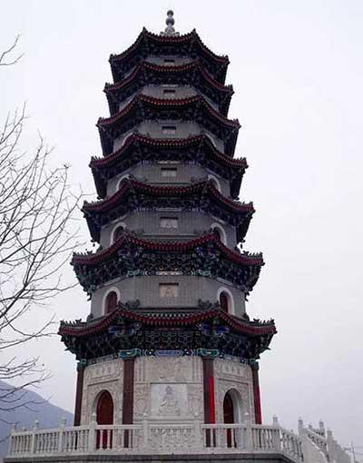 金宝塔花卉怎么养