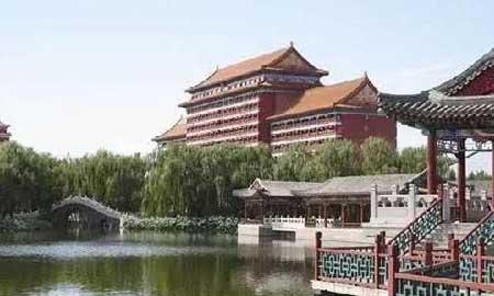 金宝塔花卉怎么养