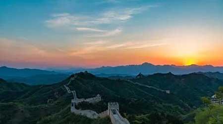 金宝塔花卉怎么养