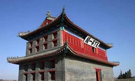 金宝塔花卉怎么养