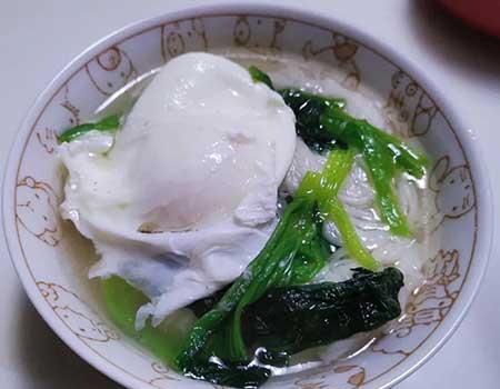 金宝塔花卉怎么养