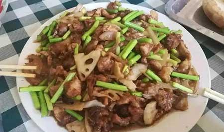 金宝塔花卉怎么养