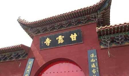 金宝塔花卉怎么养