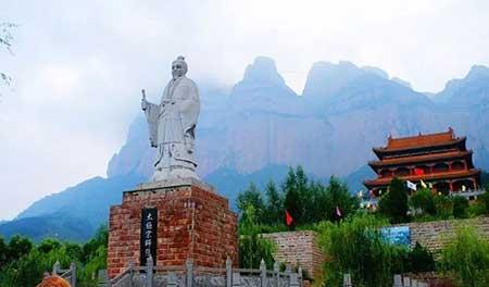 金宝塔花卉怎么养