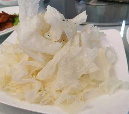 金宝塔花卉怎么养