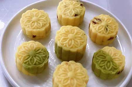 金宝塔花卉怎么养