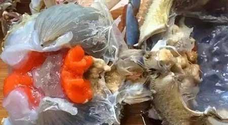金宝塔花卉怎么养