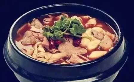 金宝塔花卉怎么养