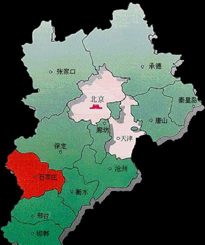 金宝塔花卉怎么养