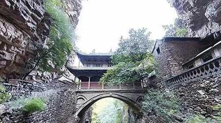 金宝塔花卉怎么养