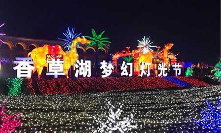 金宝塔花卉怎么养