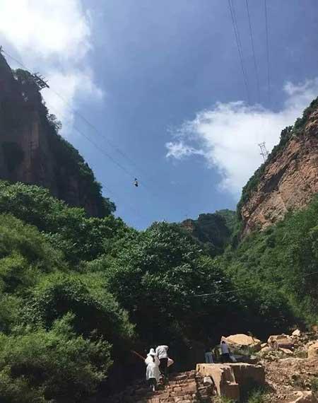 金宝塔花卉怎么养